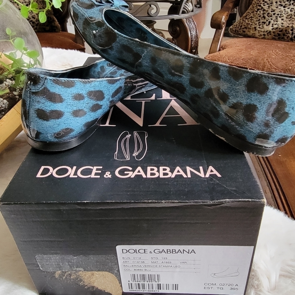 DOLCE & Gabbana - Picture 7 of 9